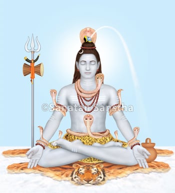 shiv