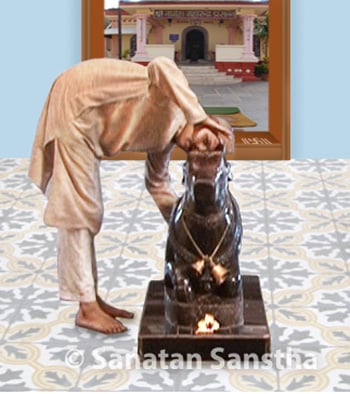 How to take darshan of Shiv pindi ? - Sanatan Sanstha