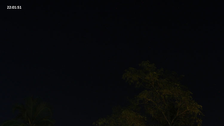 Image-1-6646