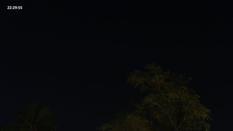 Image-5-6675